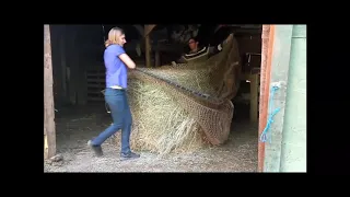 How to feed a horse for a month in two minutes