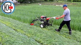 You can look at THIS forever! Haymaking with a small MOTORBLOCK !!!