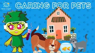 How to Take Care of Pets | KS1 | STEM and Beyond