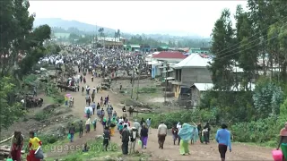 Bekoji:Ethiopia Athletes What's Behind the Always Winners?this the road from asella to Bekoji Town.