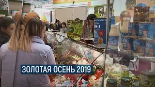 Золотая осень 2019 / В центре внимания – 06 (12 октября 2019 года)