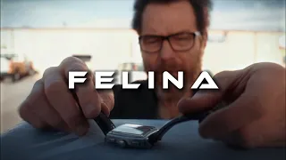 FELINA | Breaking Bad - [Let It Happen]
