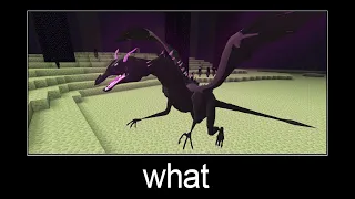 Minecraft wait what meme part 171 (realistic ender dragon)