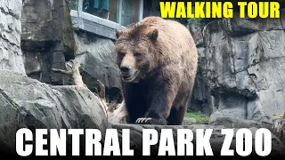 Central Park zoo -  New York City NYC - Full walking tour 4k