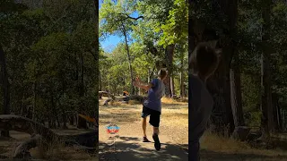 Firebird ace run #discgolf #discgolfeveryday #acerun