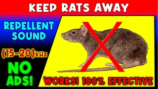 ANTI RATS REPELLENT SOUND 🚫🐀 KEEP RATS AWAY - ULTRASONIC SOUND