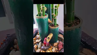 Lucky Bamboo: From Shop to Fountain