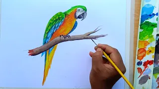 How to draw parrot step by step | Painting Bird with Poster Colour