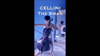 CELLINI - The Swan (Saint-Saëns)