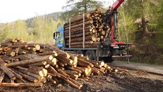 HOLZTRANSPORT im Gebirge !! / MAN 6x6 [ TRAILER ]