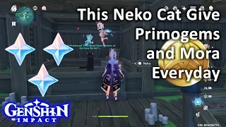This Neko Cat Give Primogems and Mora Everyday Genshin Impact
