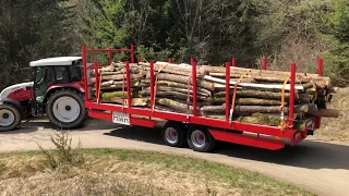 Holz fahren | Steyr 9095 MT | HMR TW 1480 | Deutz D 52 06 | Schäffer 2028 |