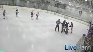 Youth hockey coach fired after fighting referee on ice at Kingston rink