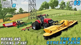 Making and picking up hay, shaking off olives | The Old Stream Farm | Farming simulator 22 | ep #63