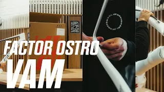 Factor Ostro VAM 2024