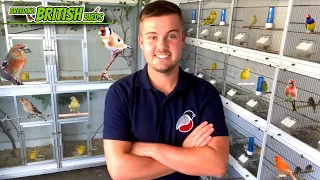 It's OVER… | Breeding British Birds S3:Ep18