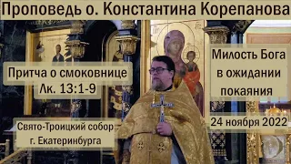 Проповедь иерея Константина Корепанова. Притча о смоковнице: милость в ожидании покаяния(24.11.2022)