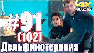 Дельфинотерапия. Занятие №91 (102)