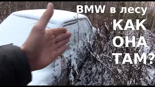 BMW в лесу. Как она там?