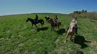 Большая компания на прогулке в лесу и поле.