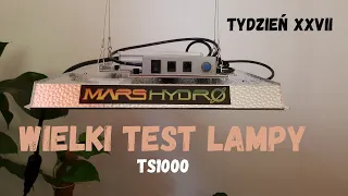 Wielki test lampy TS1000 tydzień XXVII