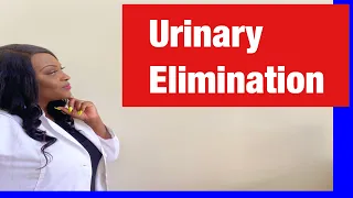 NCLEX Practice for Urinary Elimination