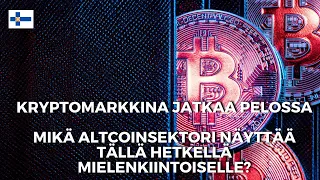 Kryptomarkkina jatkaa pelossa. Mikä altcoinsektori näyttää tällä hetkellä mielenkiintoiselle?