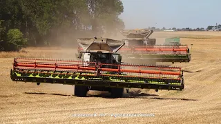 Claas Lexion 8900 - Hawe - + / Getreideernte - Grain Harvest  2020