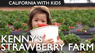 Kenny's Strawberry Farm Review With Kids