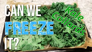 CAN YOU FREEZE FRESH KALE & COLLARDS ?