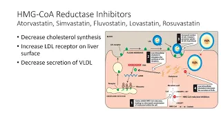 Drugs for Hyperlipidemia