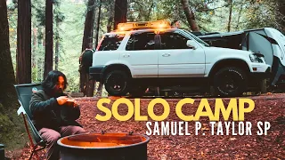 Exploring the Woods of the North Bay | Silent Solo Car Camping