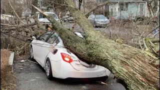 Winds cause damage throughout Massachusetts