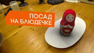 Посад на блюдечке. Карамелизованная печень с грушами