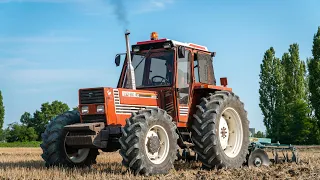 Fiatagri 110-90 DT + Erpice a dischi Spedo | Azienda Agricola Elisa