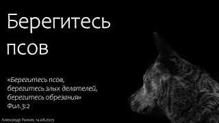 Предупреждение о ложной цели: берегитесь псов. А. Рыжов. МСЦ ЕХБ