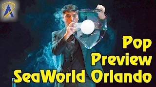 Preview of 'Pop' at SeaWorld Orlando featuring bubble master Fan Yang
