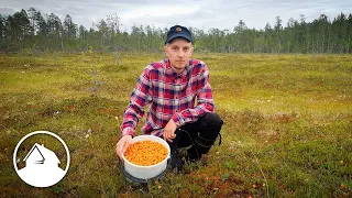 700€ in two days picking wild berries in Finland