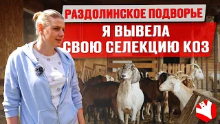 Козоводство | Семейная ферма на 150 голов | Производство сыра