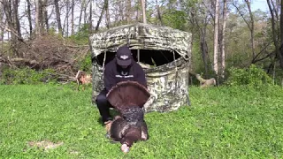 2017 Spring Turkey Hunt 'Iowa'