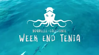 Croisière plongée Tenia- Nouvelle Calédonie avec ENJOY DIVING