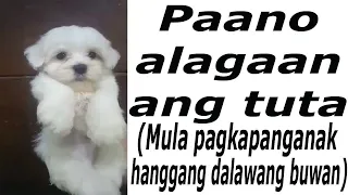 Paano alagaan ang tuta  (How to Take care of Puppies from 0  to 2 months of age) Quick tutorial