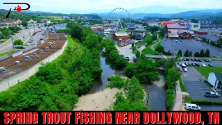 Spring Trout Fishing Near Dollywood