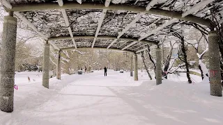 Walking in the Beautiful Deep Snowy Park Sapporo, Hokkaido JAPAN | 4K ASMR | Snowscape Ambience Snow