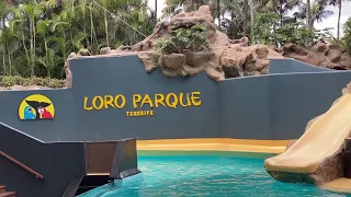 Loro Parque 2020 (1)