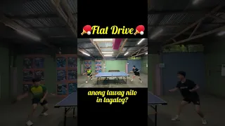 Table Tennis Flat Drive 🏓💪🏓💪🤩 #tabletennis