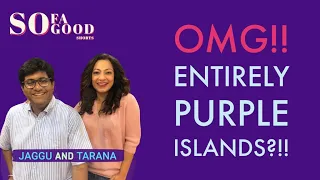 South Korea's Purple Islands| Sofa So Good Shorts | Podcast | Jaggu & Tarana