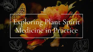 Exploring Plant Spirit Medicine in Practice