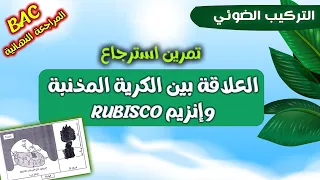 المراجعة النهائية🔥تمرين استرجاع ممتاز حول التركيب الضوئي| انزيم الريبيسكو والكرية المذنبة| بكالوريا