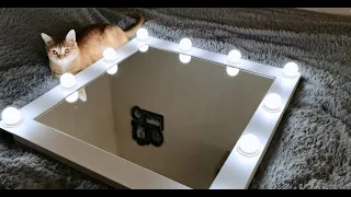 DIY гримерное ЗЕРКАЛО СВОИМИ РУКАМИ с подсветкой. Цена материалов. designer mirror